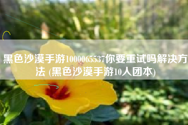 黑色沙漠手游1000065537你要重试吗解决方法 (黑色沙漠手游10人团本)