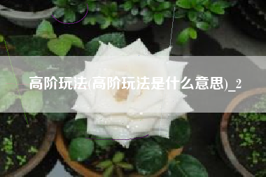 高阶玩法(高阶玩法是什么意思)_2