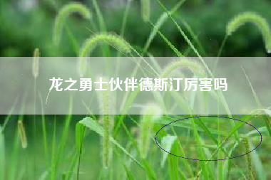 龙之勇士伙伴德斯汀厉害吗