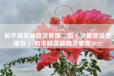 和平精英最稳灵敏度二指（灵敏度设置推荐）(和平精英最稳灵敏度2022)