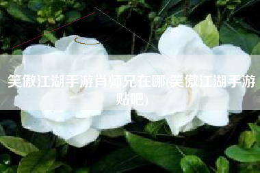 笑傲江湖手游肖师兄在哪(笑傲江湖手游贴吧)