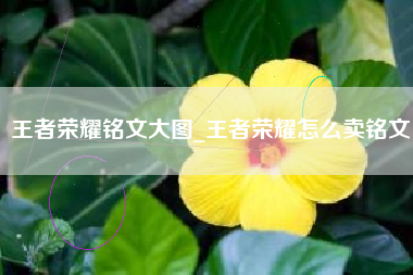 王者荣耀铭文大图_王者荣耀怎么卖铭文
