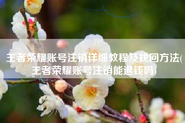 王者荣耀账号注销详细教程及找回方法(王者荣耀账号注销能退钱吗)