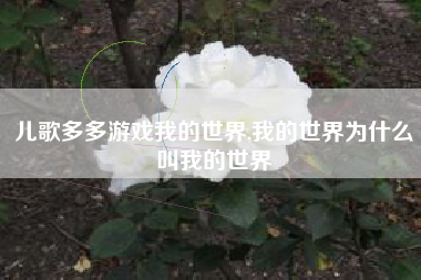 儿歌多多游戏我的世界,我的世界为什么叫我的世界