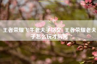 王者荣耀飞牛老夫子铭文_王者荣耀老夫子怎么玩才厉害