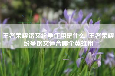 王者荣耀铭文纷争作用是什么_王者荣耀纷争铭文适合哪个英雄用