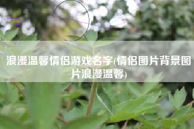 浪漫温馨情侣游戏名字(情侣图片背景图片浪漫温馨)