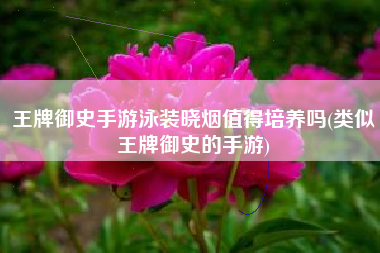 王牌御史手游泳装晓烟值得培养吗(类似王牌御史的手游)
