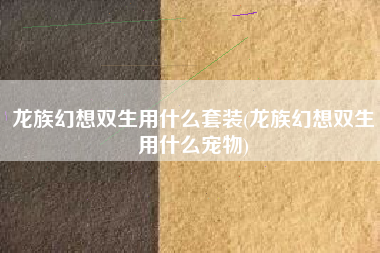 龙族幻想双生用什么套装(龙族幻想双生用什么宠物)