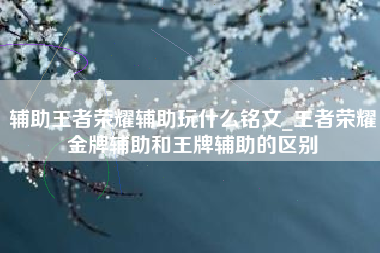 辅助王者荣耀辅助玩什么铭文_王者荣耀金牌辅助和王牌辅助的区别