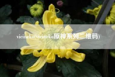 vicineko(vicineko原神系列二维码)