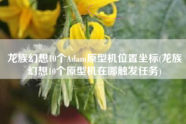 龙族幻想10个Adam原型机位置坐标(龙族幻想10个原型机在哪触发任务)