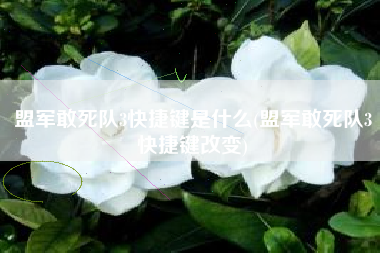 盟军敢死队3快捷键是什么(盟军敢死队3快捷键改变)