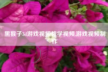 黑猴子3d游戏视频教学视频,游戏视频制作