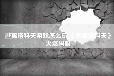 逃离塔科夫游戏怎么玩,《逃离塔科夫》火爆国服