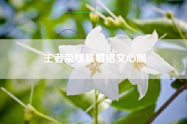 王者荣耀猴哥铭文心眼