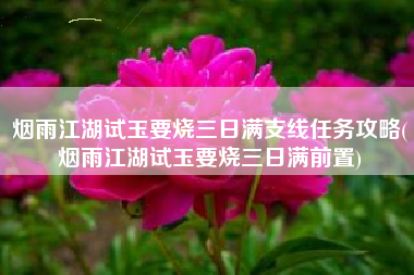 烟雨江湖试玉要烧三日满支线任务攻略(烟雨江湖试玉要烧三日满前置)