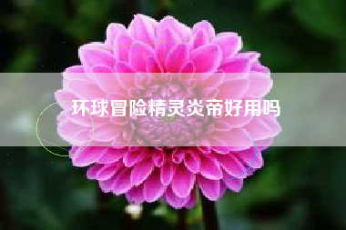 环球冒险精灵炎帝好用吗