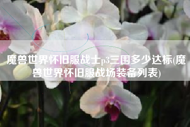 魔兽世界怀旧服战士p3三围多少达标(魔兽世界怀旧服战场装备列表)