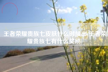王者荣耀贵族七皮肤什么时候出(王者荣耀贵族七有什么奖励)