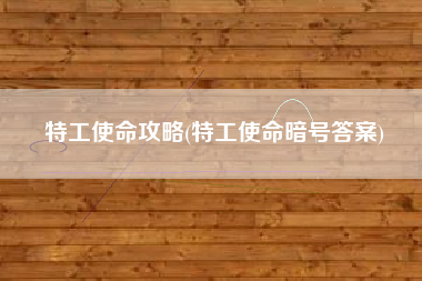 特工使命攻略(特工使命暗号答案)