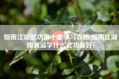 烟雨江湖武功第十重学习攻略(烟雨江湖陶渊溢学什么武功最好)