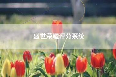 盛世荣耀评分系统