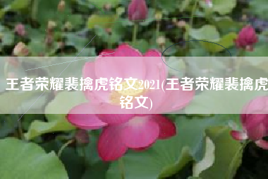 王者荣耀裴擒虎铭文2021(王者荣耀裴擒虎铭文)