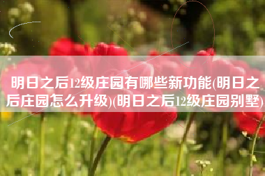 明日之后12级庄园有哪些新功能(明日之后庄园怎么升级)(明日之后12级庄园别墅)