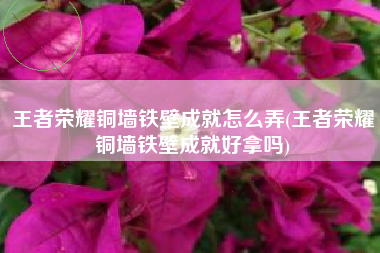 王者荣耀铜墙铁壁成就怎么弄(王者荣耀铜墙铁壁成就好拿吗)