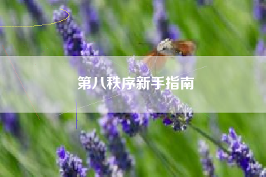 第八秩序新手指南