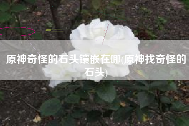 原神奇怪的石头镶嵌在哪(原神找奇怪的石头)