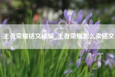 王者荣耀铭文被骗_王者荣耀怎么卖铭文