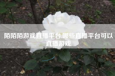 陌陌陌游戏直播平台,哪些直播平台可以直播游戏