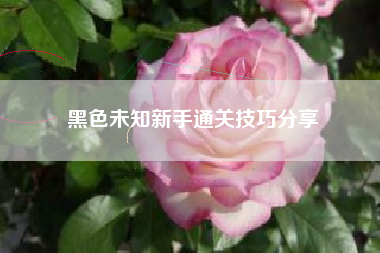 黑色未知新手通关技巧分享