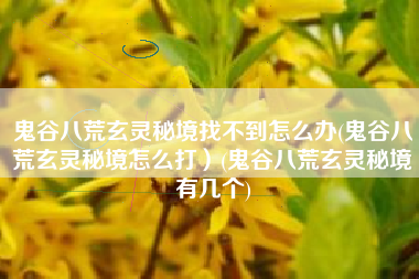鬼谷八荒玄灵秘境找不到怎么办(鬼谷八荒玄灵秘境怎么打）(鬼谷八荒玄灵秘境有几个)