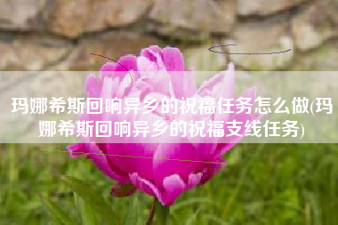玛娜希斯回响异乡的祝福任务怎么做(玛娜希斯回响异乡的祝福支线任务)