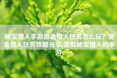 秘宝猎人手游赏金猎人任务怎么玩？赏金猎人任务攻略分享(类似秘宝猎人的手游)