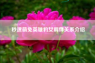 秒速萌兔英雄豹女羁绊关系介绍