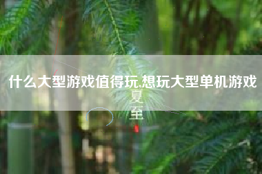 什么大型游戏值得玩,想玩大型单机游戏