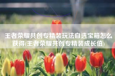 王者荣耀共创专精装玩法自选宝箱怎么获得(王者荣耀共创专精装成长值)