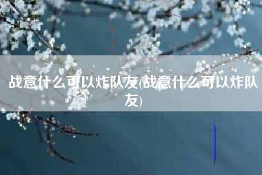 战意什么可以炸队友(战意什么可以炸队友)