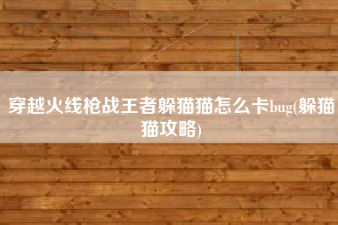穿越火线枪战王者躲猫猫怎么卡bug(躲猫猫攻略)