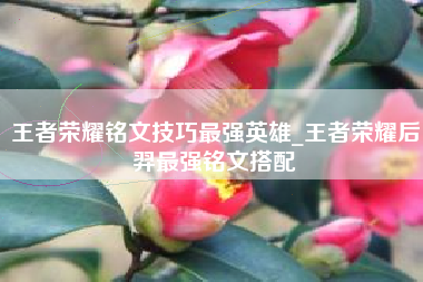 王者荣耀铭文技巧最强英雄_王者荣耀后羿最强铭文搭配
