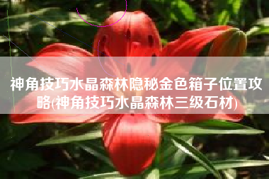 神角技巧水晶森林隐秘金色箱子位置攻略(神角技巧水晶森林三级石材)