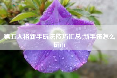 第五人格新手玩法技巧汇总(新手该怎么玩())
