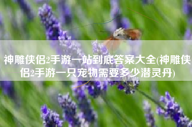 神雕侠侣2手游一站到底答案大全(神雕侠侣2手游一只宠物需要多少潜灵丹)