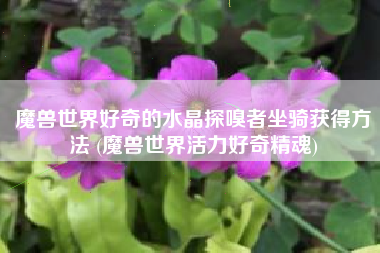 魔兽世界好奇的水晶探嗅者坐骑获得方法 (魔兽世界活力好奇精魂)