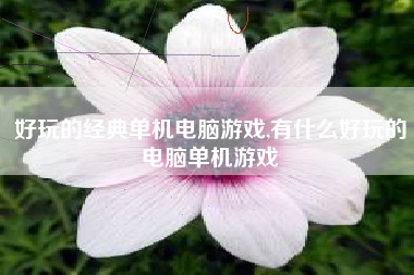 好玩的经典单机电脑游戏,有什么好玩的电脑单机游戏