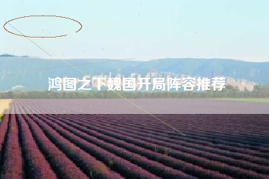 鸿图之下魏国开局阵容推荐